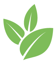 Bush Trimming Service