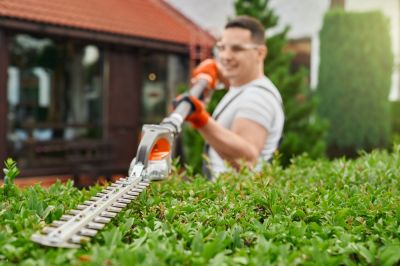 Remove Old Growth from Your Shrubs!