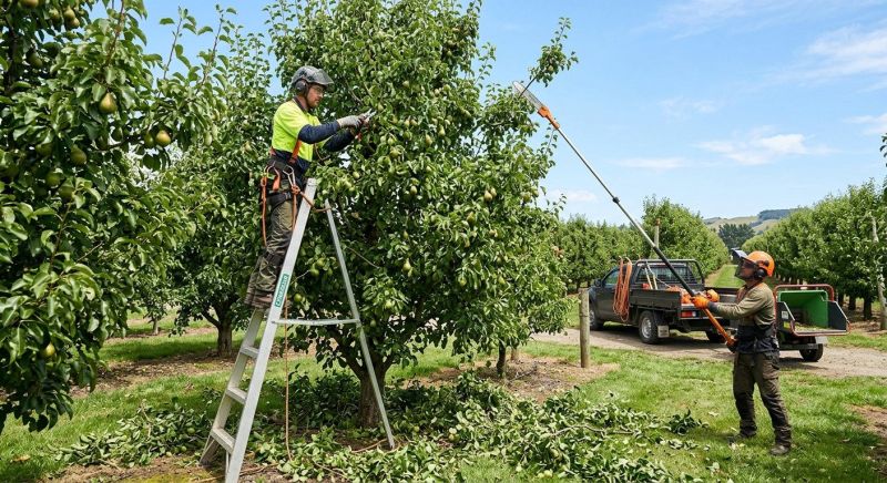 Peach Tree Pruning in Pottstown, PA