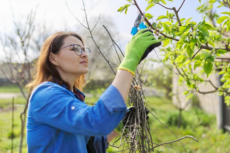 Peach Tree Pruning in Doylestown, PA
