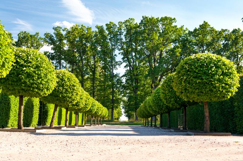 Topiary Shaping in Aiken, SC
