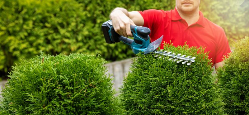 Bush Trimming Service