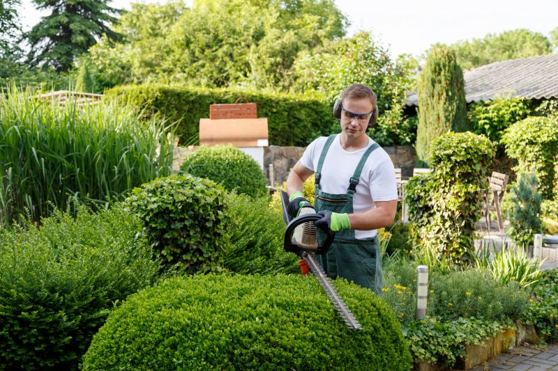 Bush Trimming Service in Aiken, SC