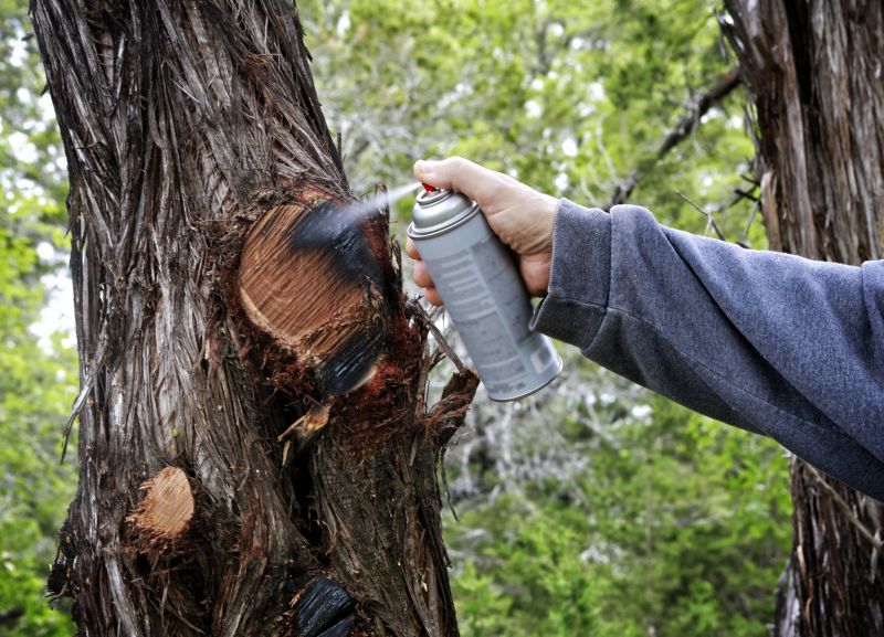 Cedar Tree Pruning in Doylestown, PA