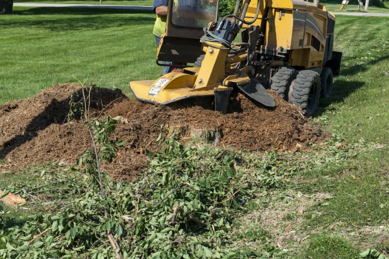 Commercial Stump Grinding in Doylestown, PA