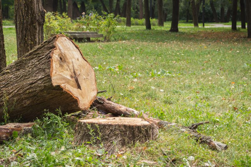 Dead Tree Removal in Doylestown, PA