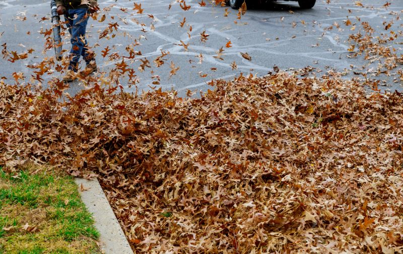 Seasonal Leaf Removal