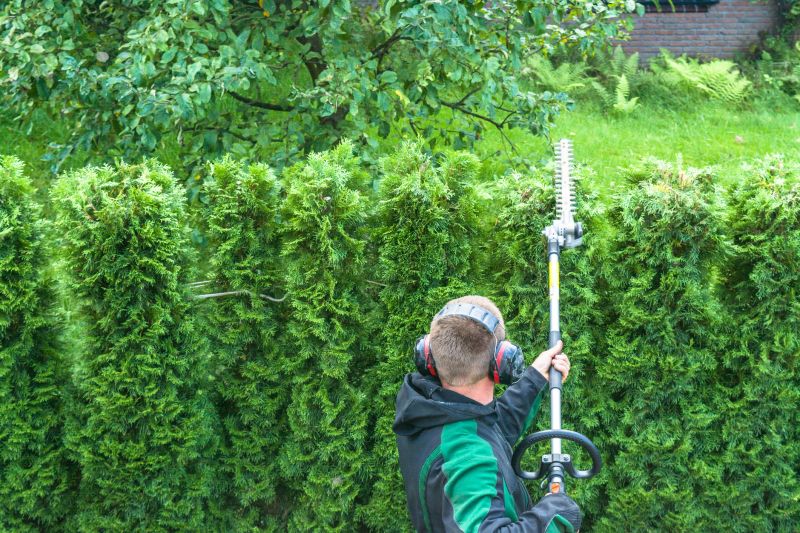 Hedge Trimming in Aiken, SC