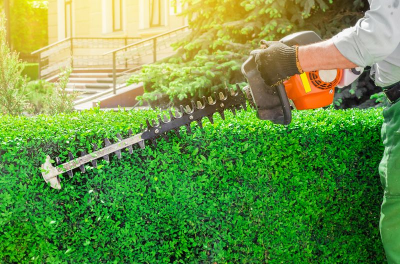 Hedge Trimming in Aiken, SC