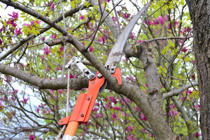 Limb Pruning in Doylestown, PA
