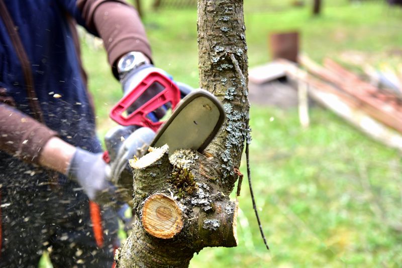 Limbs Trimming in Doylestown, PA