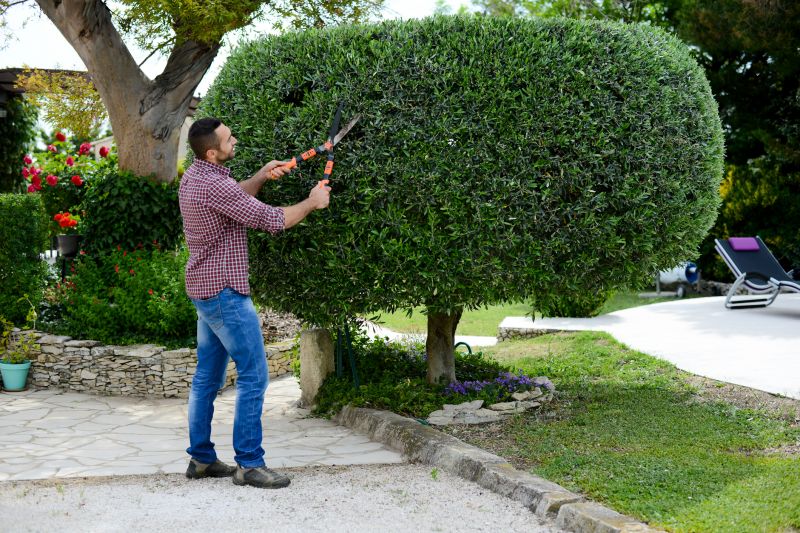 Shrub Shaping in Aiken, SC