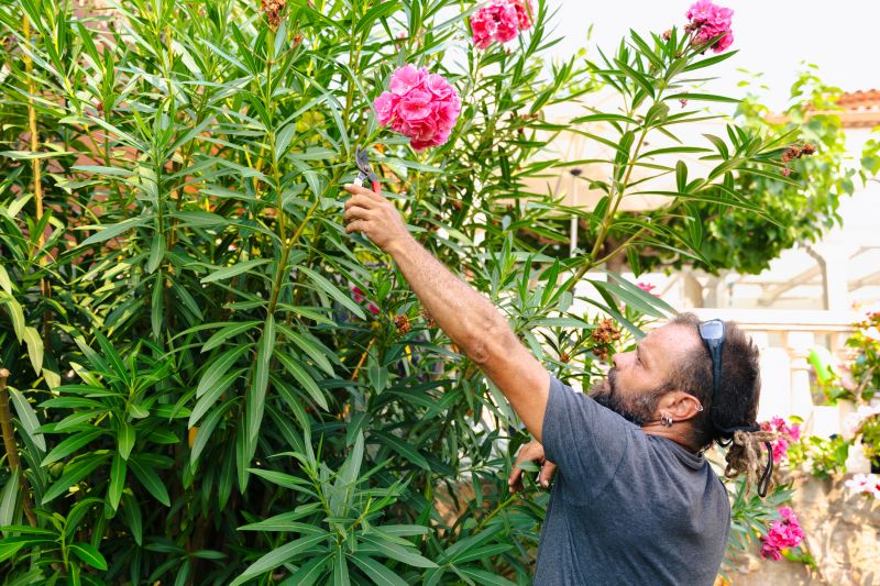 Shrubs with Flowering Blooms