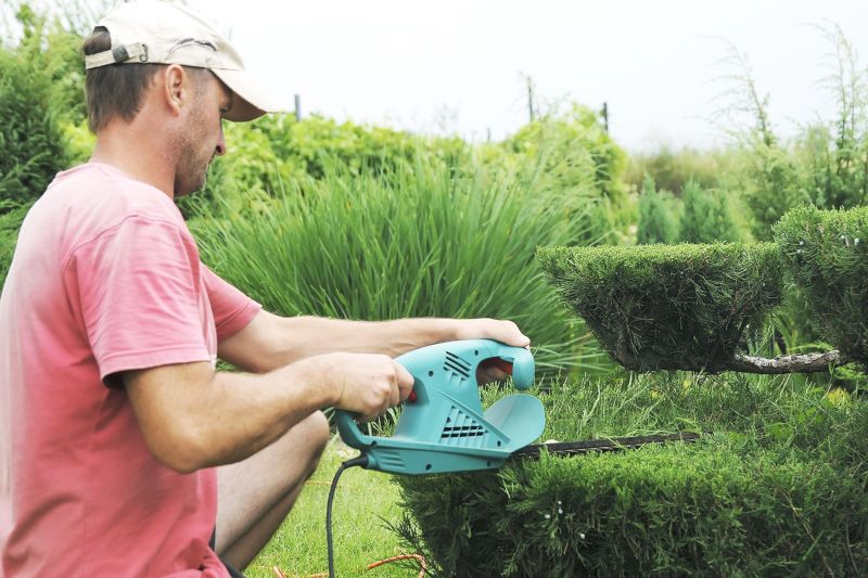 Topiary Shaping in Ventura County, CA